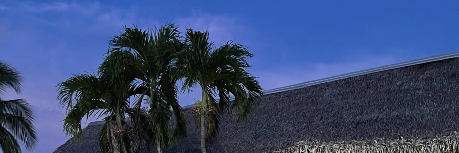 paodasch's profile banner image