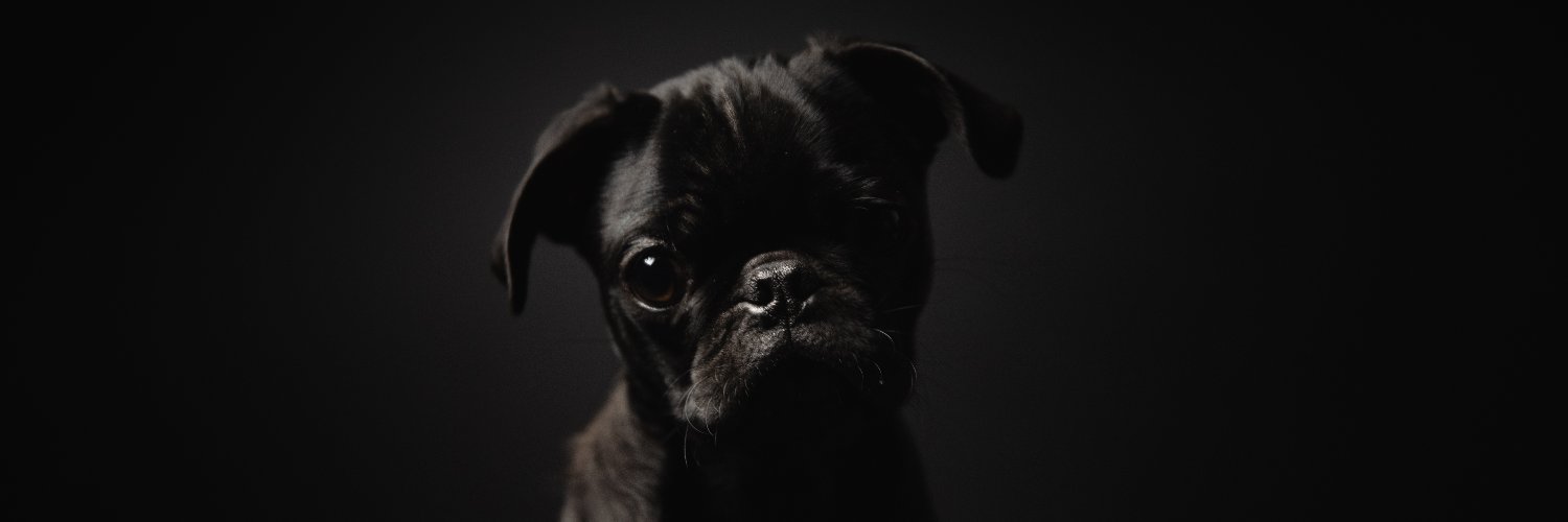 Bryan_Sutter's profile banner image