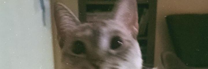 Chrisouusa's profile banner image