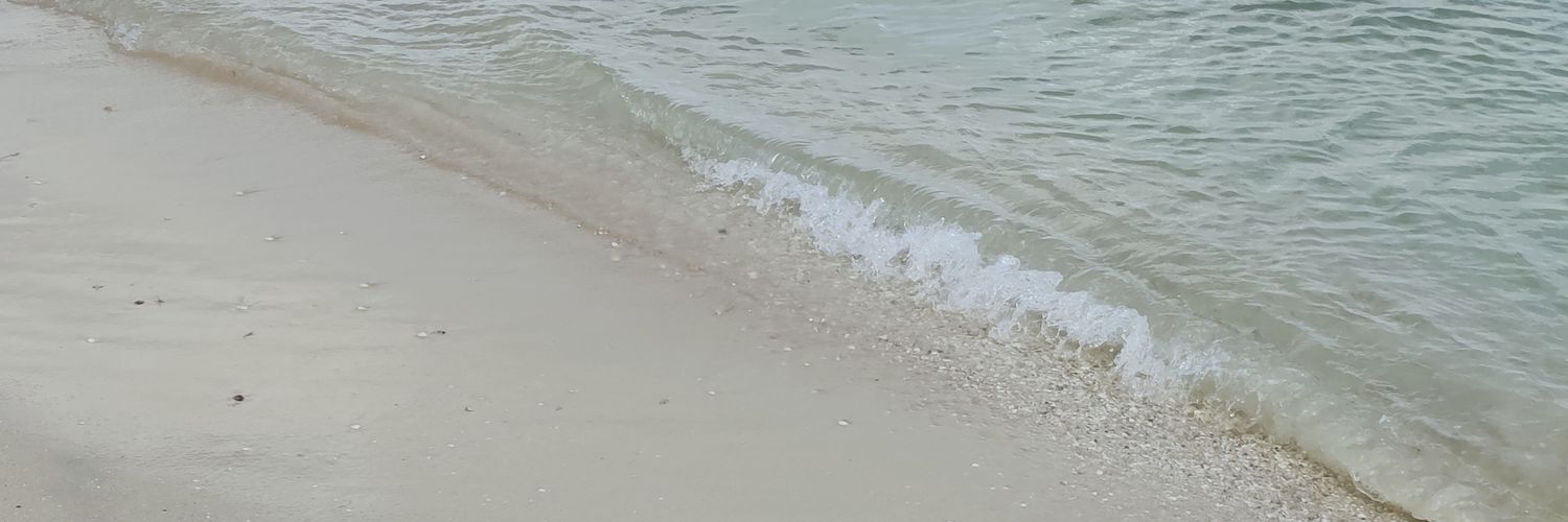 AleLeons's profile banner image