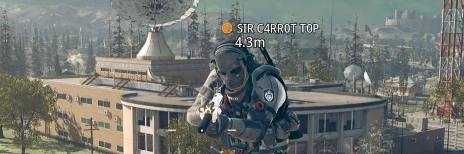 Austin banner