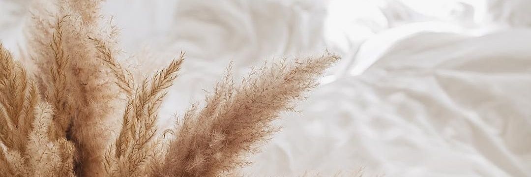 Agatyska's profile banner image