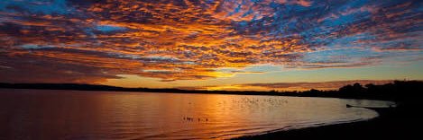 Angel E. Taguja  banner