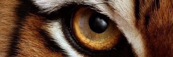 Xuleeto's profile banner image