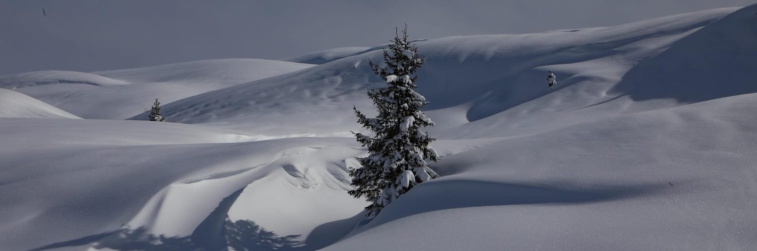ElePilotto's profile banner image