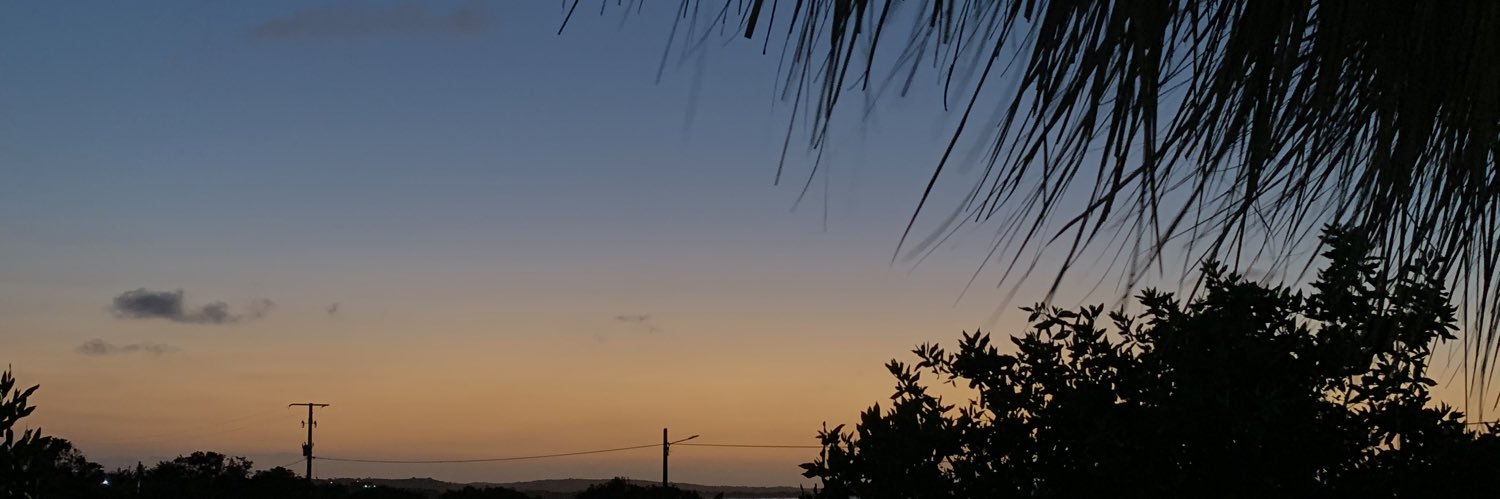 leidiocampo_'s profile banner image