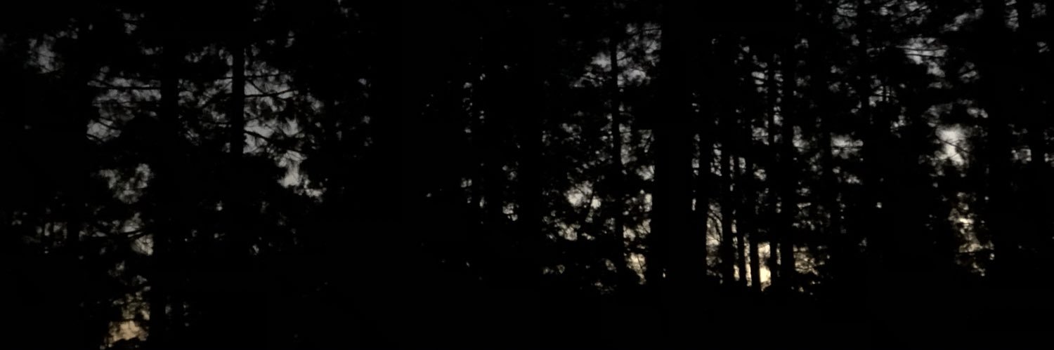 elissa_rivera's profile banner image