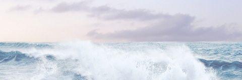 shnbkw's profile banner image