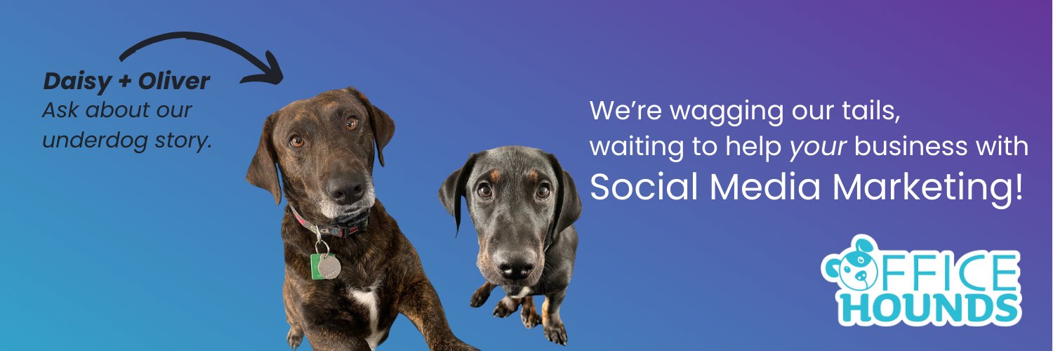 OfficeHounds's profile banner image