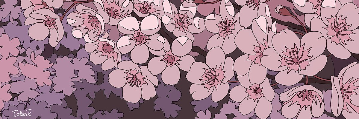 OlgaLovesNature's profile banner image