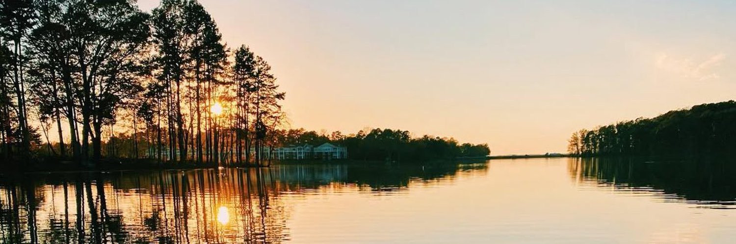 Cathy🦋 banner