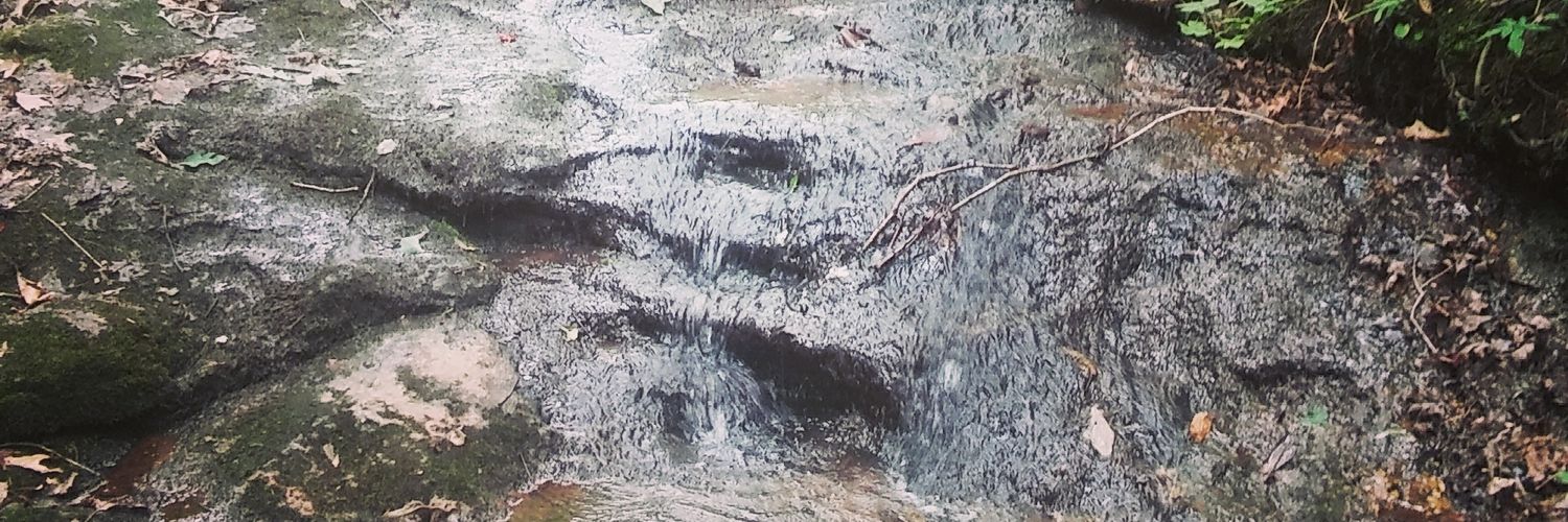 jamhol007's profile banner image