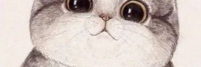 AidanPeque's profile banner image