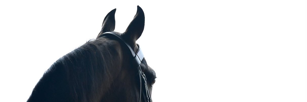 What_Da_Tuck's profile banner image