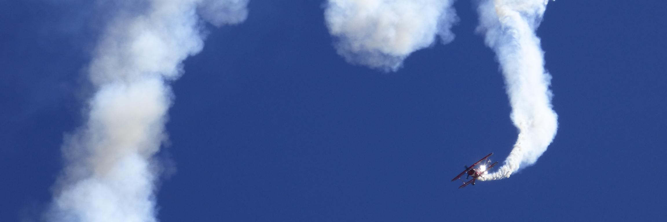 Iris Grunwald banner