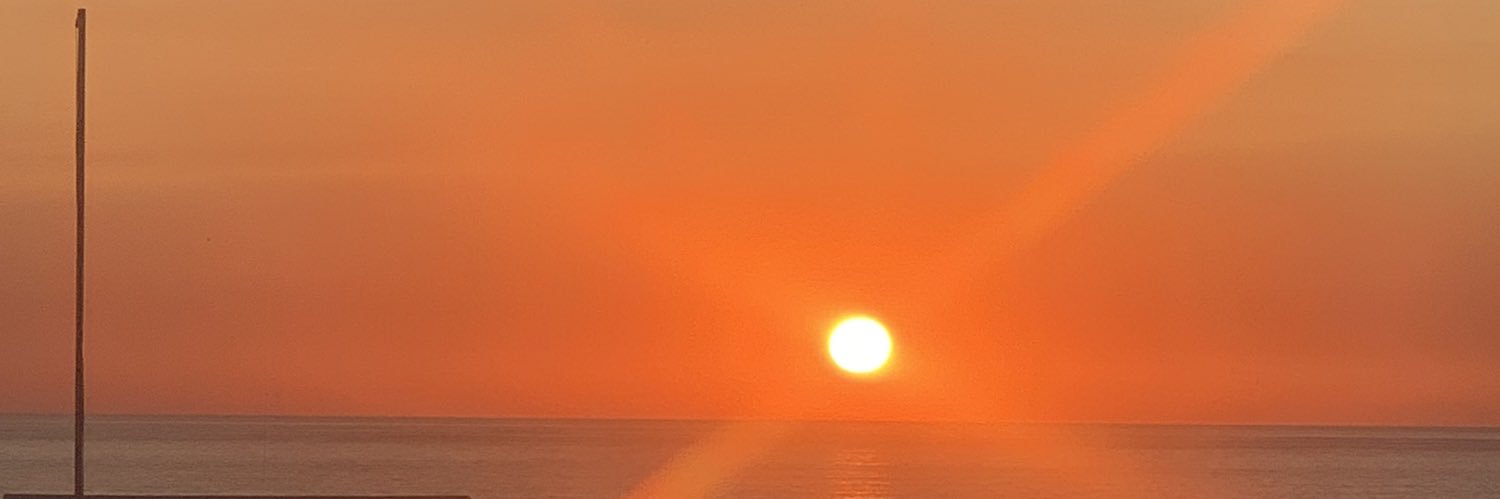 Suzipoo1's profile banner image