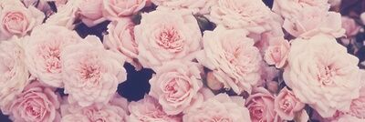 Shim0o4's profile banner image