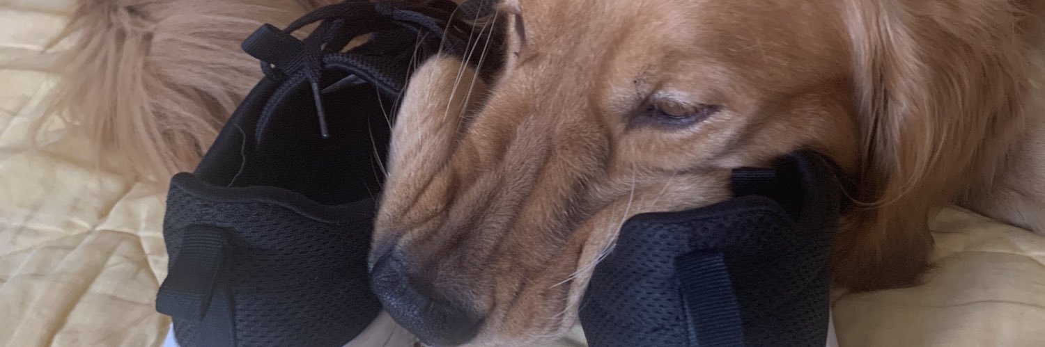 PyroSpookyBoss's profile banner image