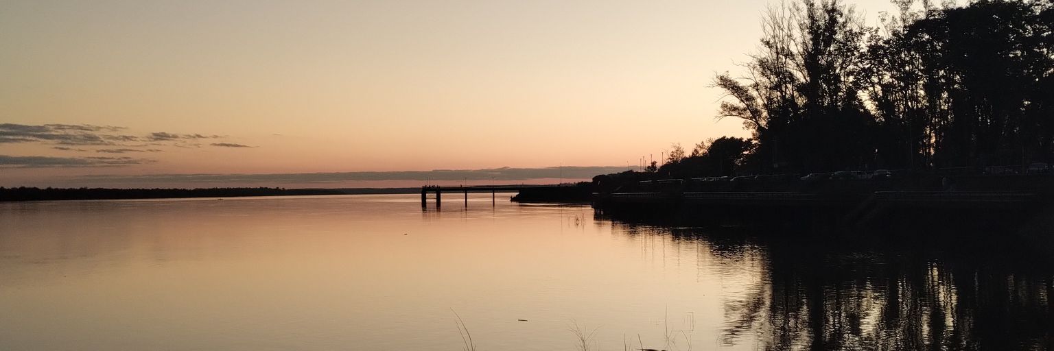 Lizzie Marcel 🟢 banner