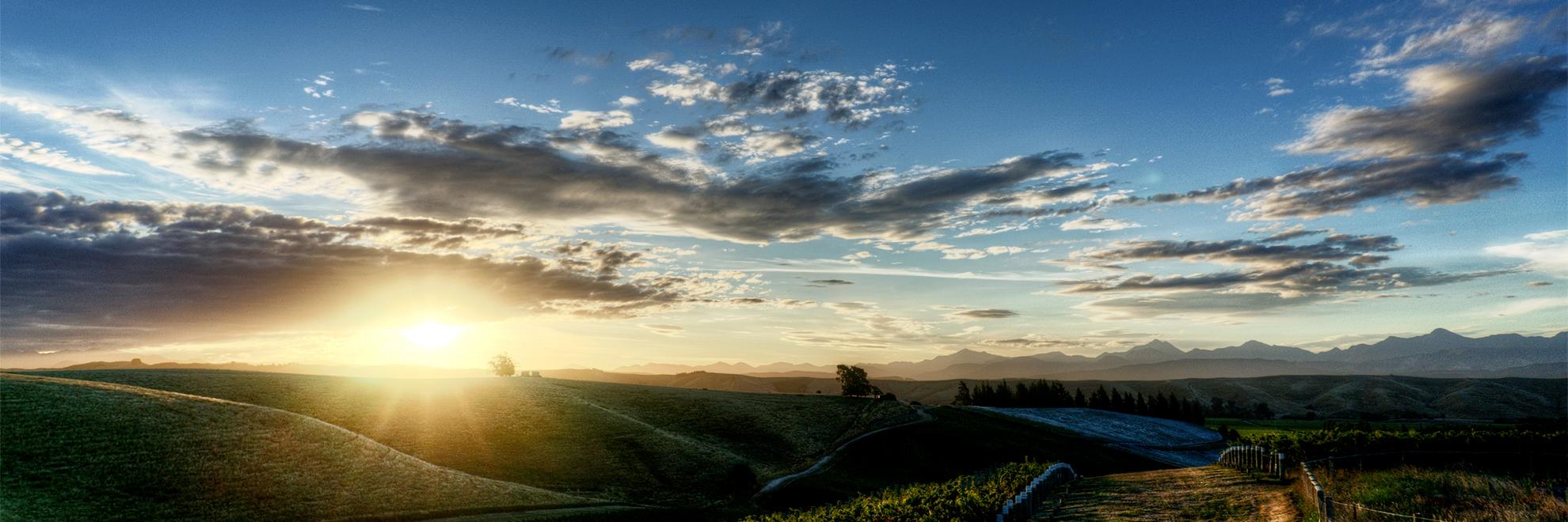 Katy Prescott banner