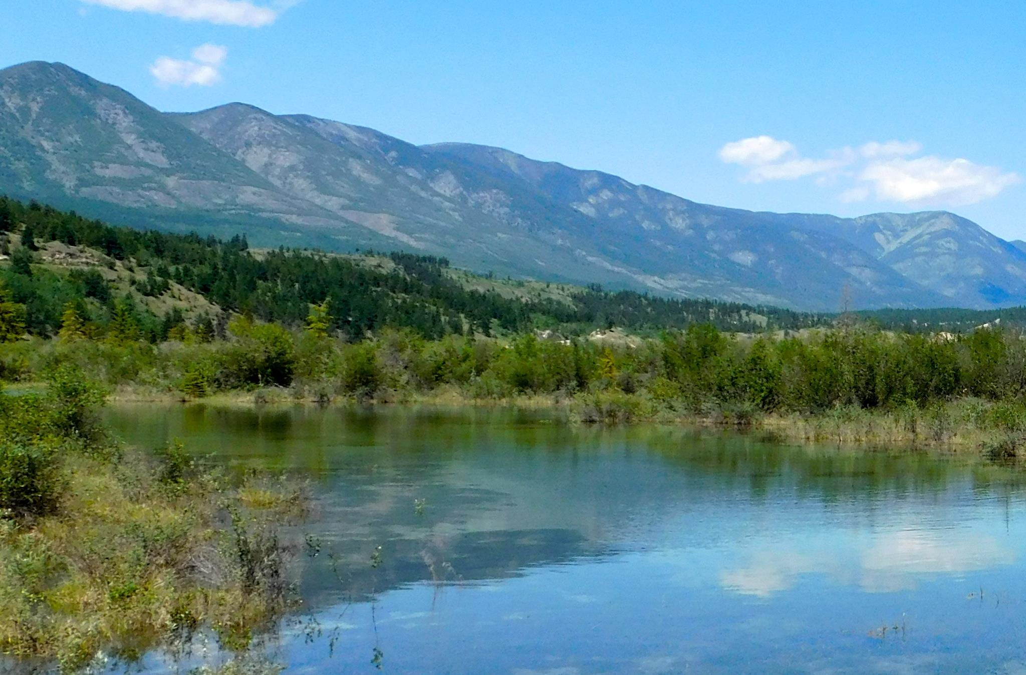 LakeAmbassadors's profile banner image