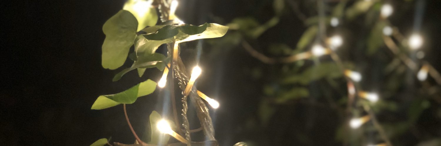 flor_marcelli's profile banner image