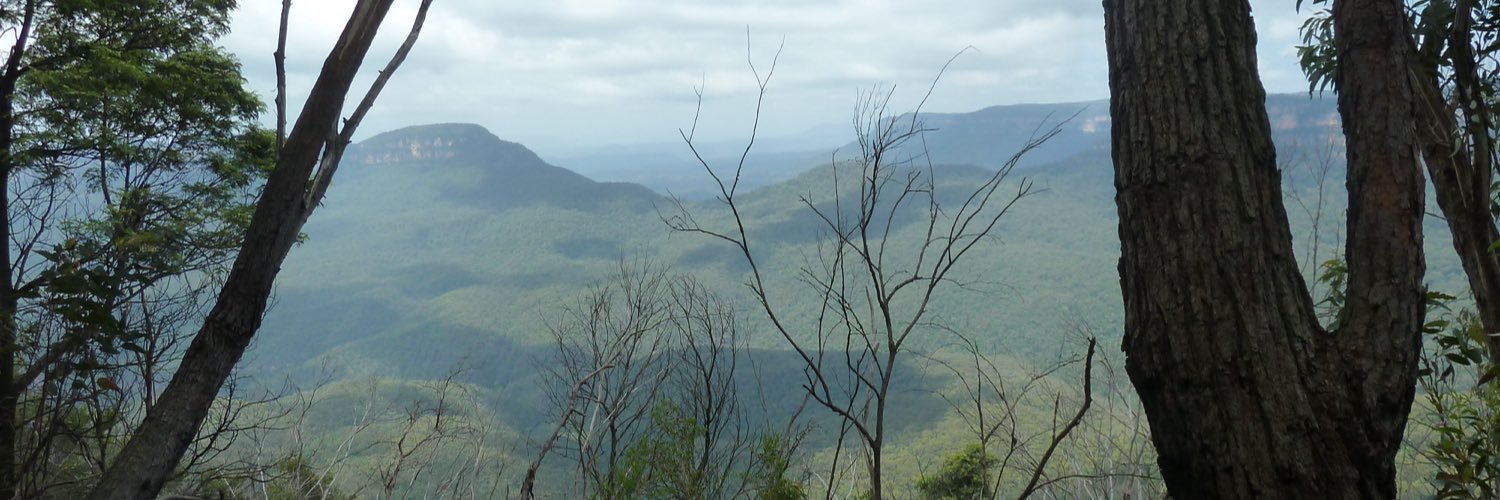 Eileen Morrison banner