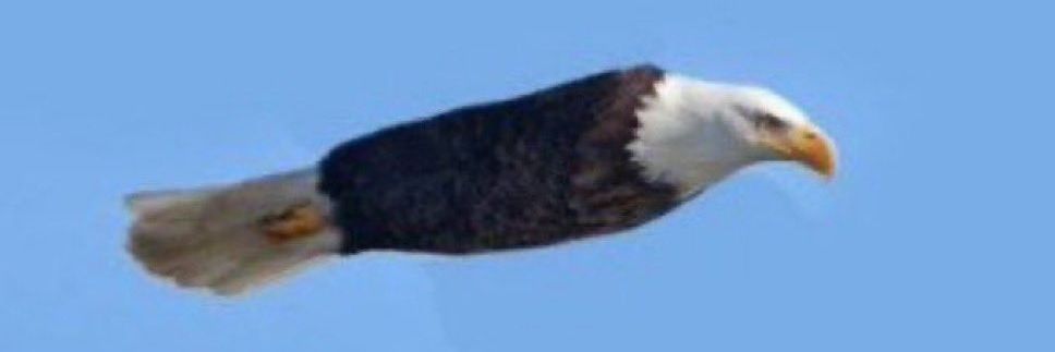 Fatih banner