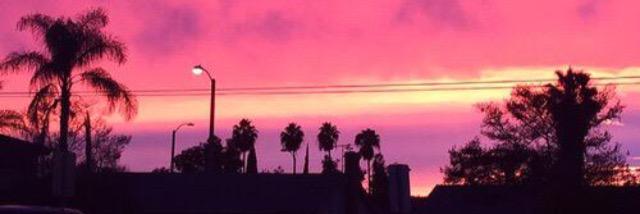 CorinnaHynes's profile banner image