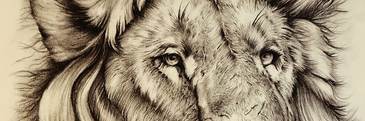 Boon_Ying's profile banner image