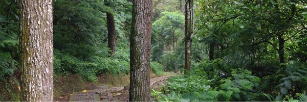 PerlasAnahi Profile Banner