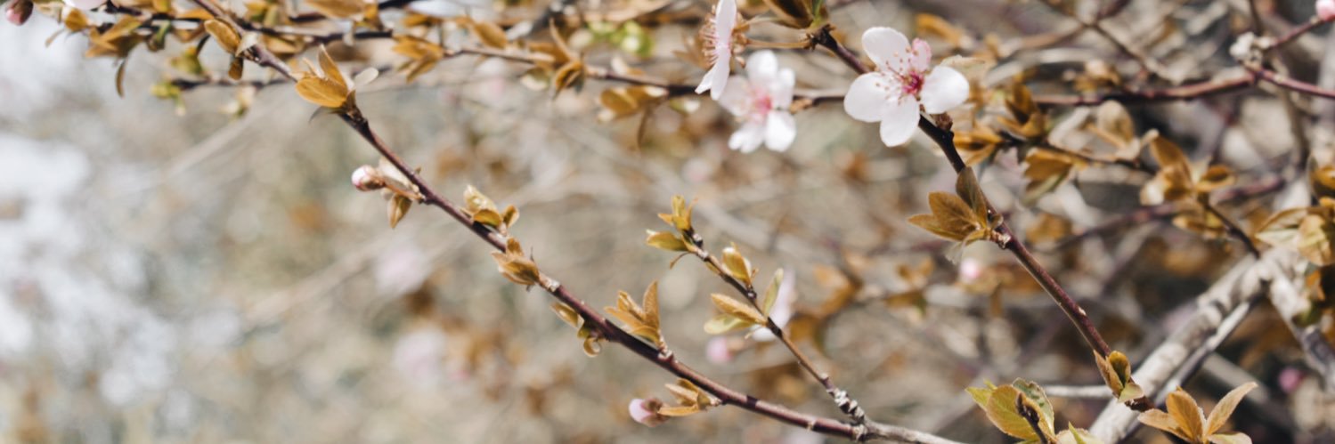 annyy94's profile banner image