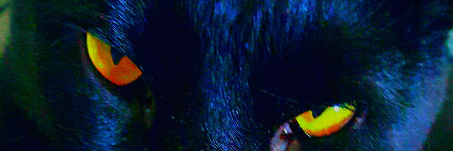 Shallowbay1's profile banner image