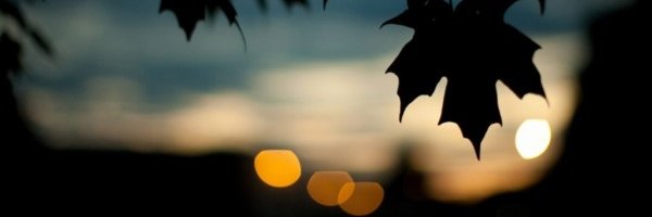 _witwicky's profile banner image