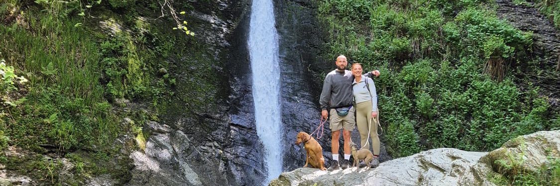 Andrew Teague banner