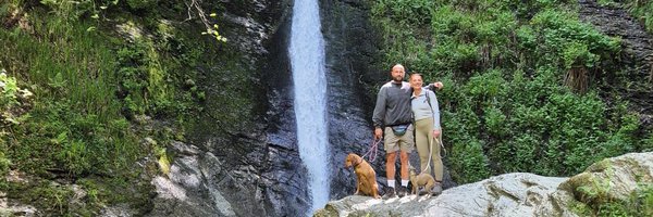 andyharryt Profile Banner