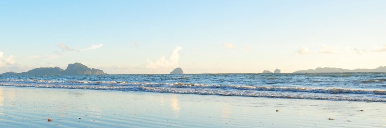 PacificFriends's profile banner image