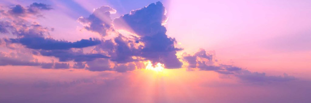 AbbeyKilduff's profile banner image