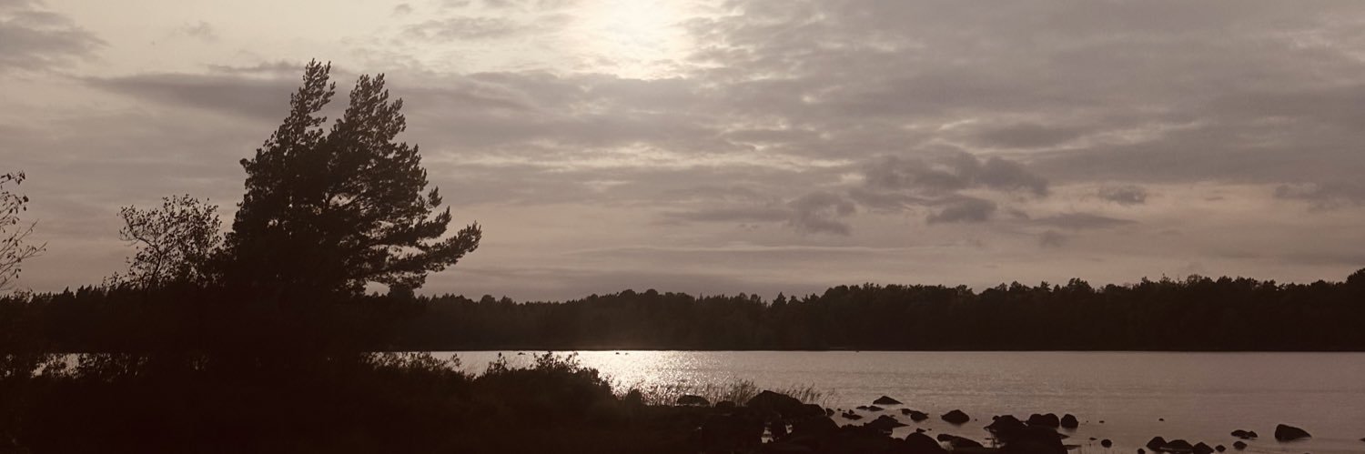 larsi banner