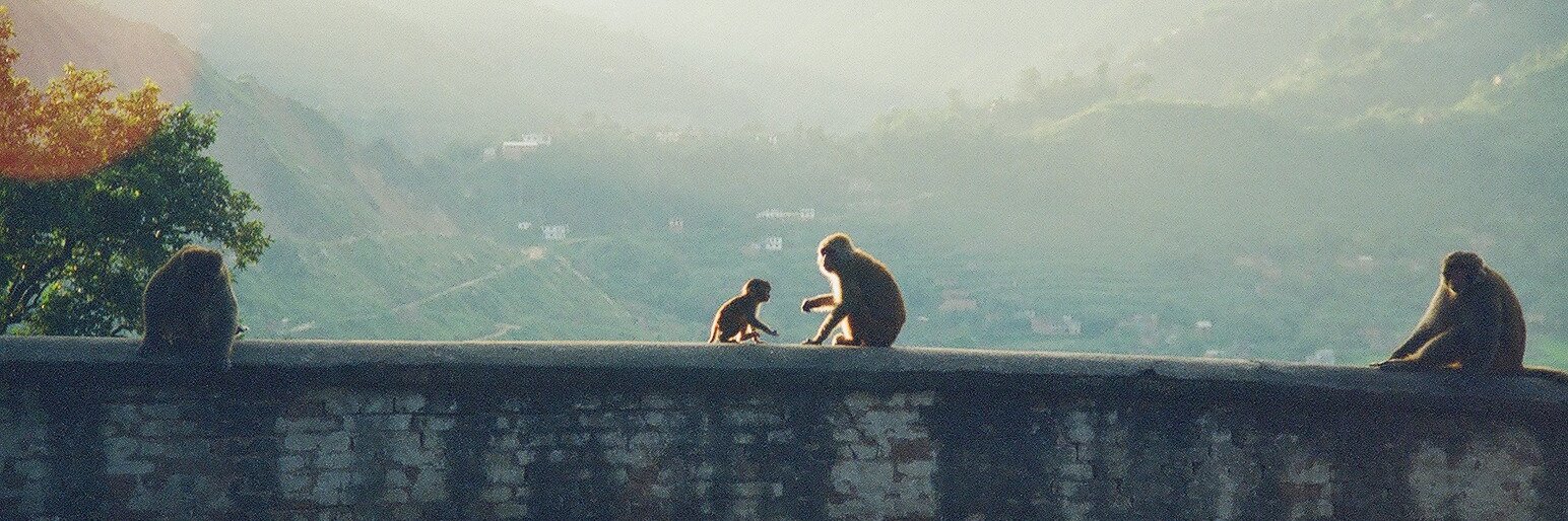 🆂🆃🅴🆅🅴 🅼🅸🅻🅻🅴🆁 banner