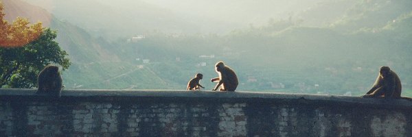 F1uff Profile Banner