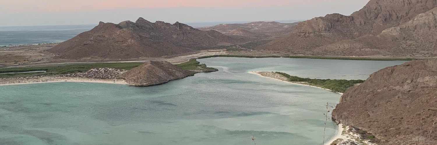 🎗️ Dr. Carlos A. Leal banner