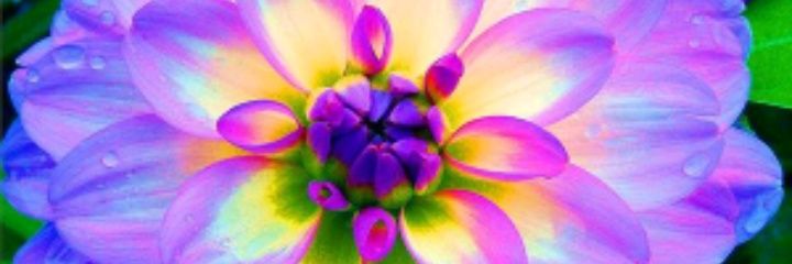 MrsTaylor1026's profile banner image