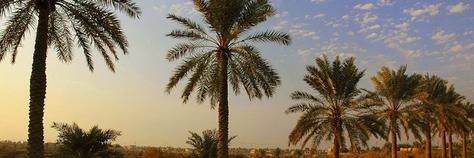 SultanAlBahrain's profile banner image