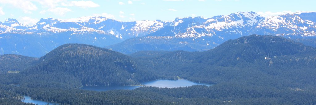Michael_Pack's profile banner image