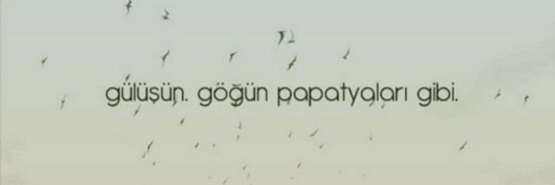 NalanUlupinar's profile banner image