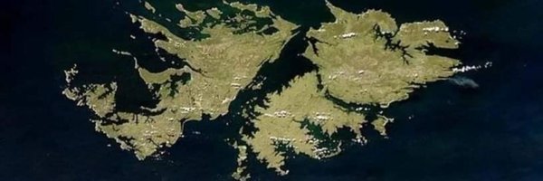 paolinimorales1 Profile Banner