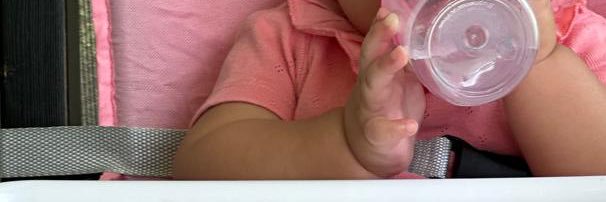 Angélica J. Poueriet 🐢 banner