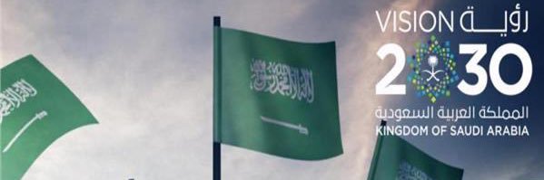 N_Naqool's profile banner image