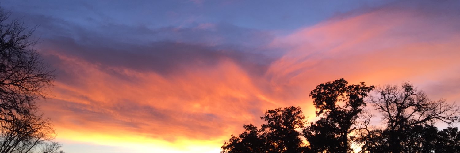 gabiboyle's profile banner image
